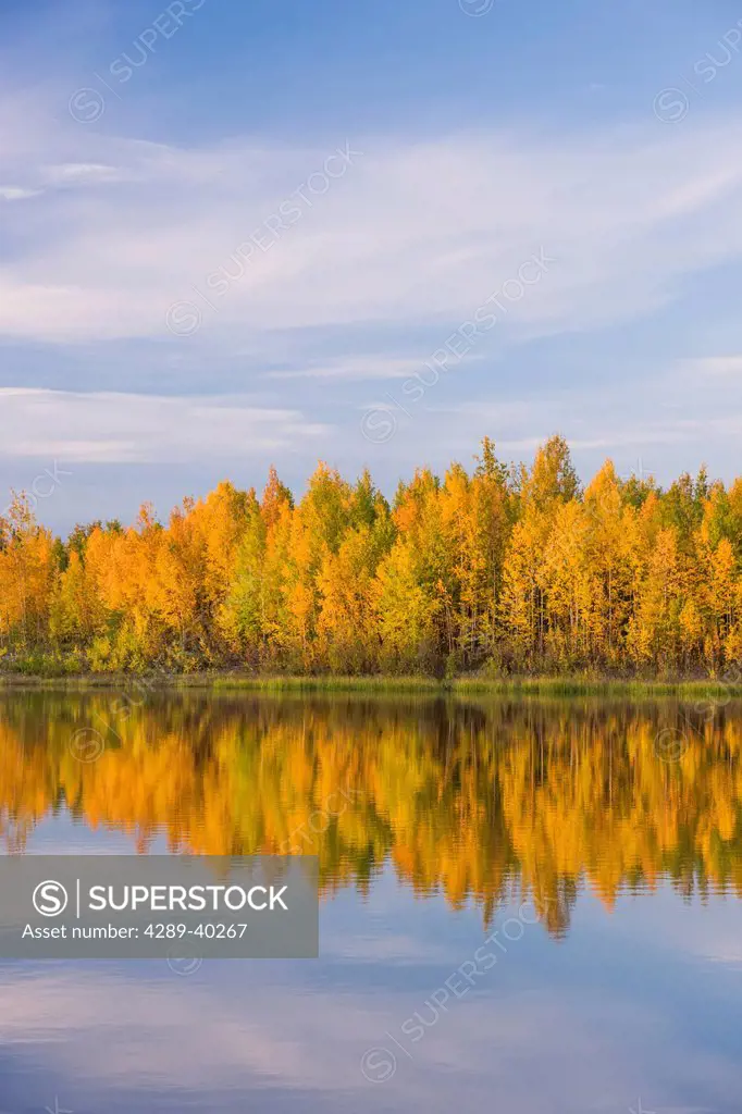 Fall foliage reflected in the water at the Chena Lakes Recreation Area, Fairbanks, Alaska, USA