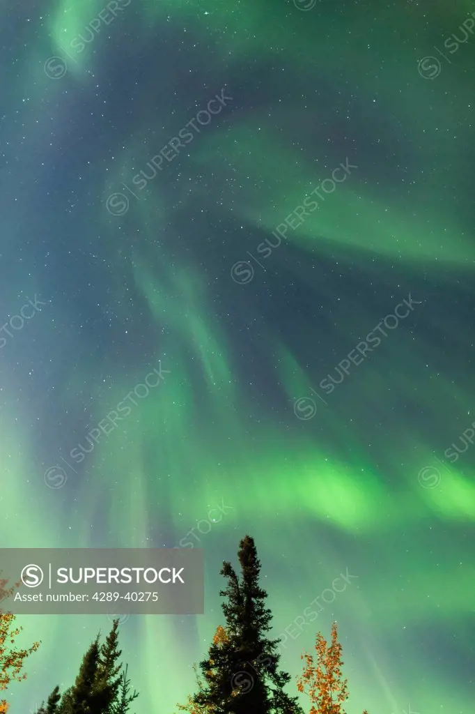 Northern Lights in the sky above the Chena Lakes Recreation Area, Northern Lights in the sky, Fairbanks, Alaska, USA