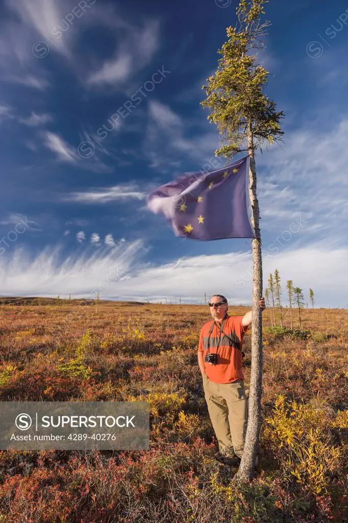 Male hiker, Caucasian, 50's, standing next to an Alaskan Flag tied to a Black Spruce Tree in tundra alongside the Steese Highway,near Fairbanks on a s...