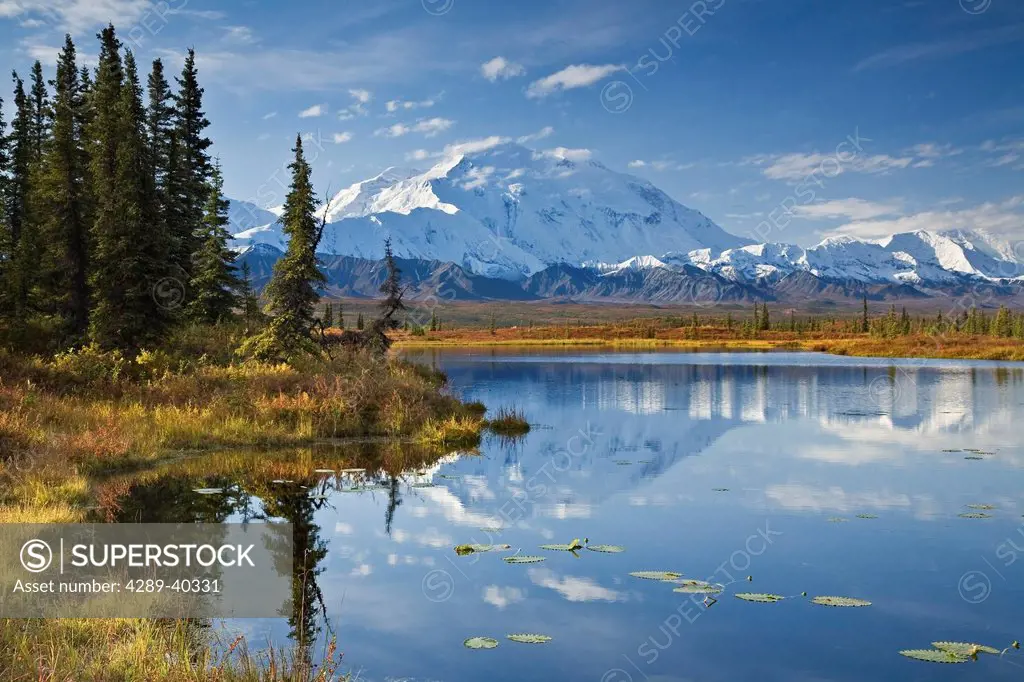 The North Face And Peak Of Mt. Mckinley Is Reflected In A Small Tundra Pond In Denali National Park, Alaska