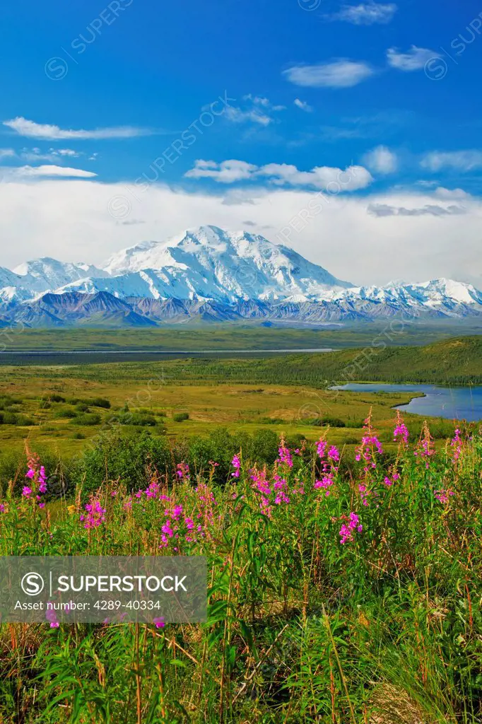 View Of The North Side Of Mt. Mckinley On A Sunny Day With Mckinley River And Wonder Lake In The Foreground, Denali National Park And Preserve, Interi...