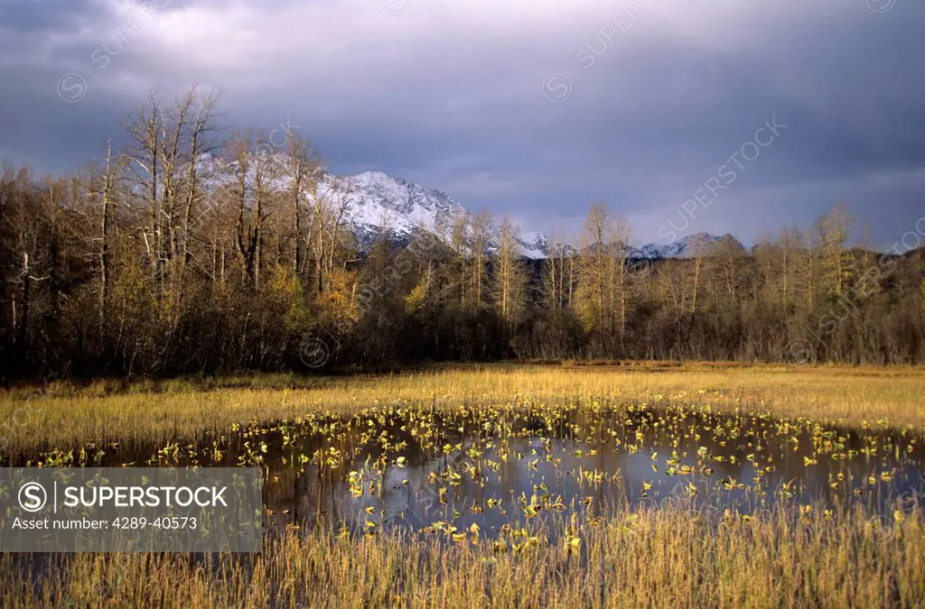 Alaska, Haines, Chilkat River Valley, Sunlight On Marsh, Mountains In Background.