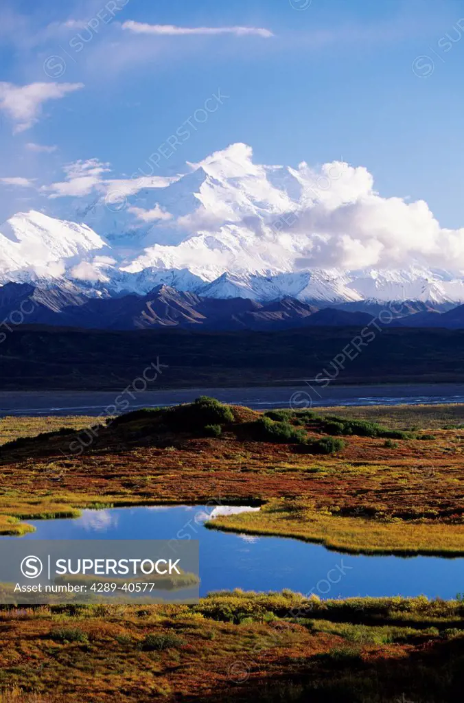Alaska, Denali National Park, Denali, Tundra Pond, Mountains In Background.