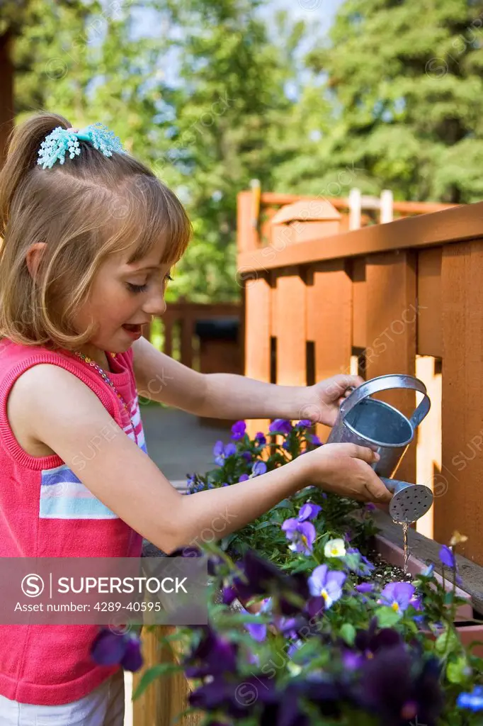Young Girl Uses A Watering Can To Water Flower On The Deck Of Home In Anchorage, Alaska