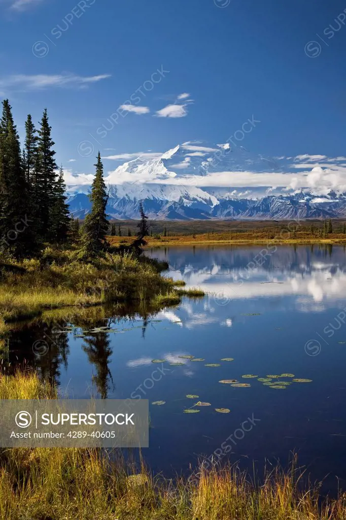 Denali Is Reflected In A Small Lake Near The Wonder Lake Campground At Denali National Park. Fall In Interior Alaska.