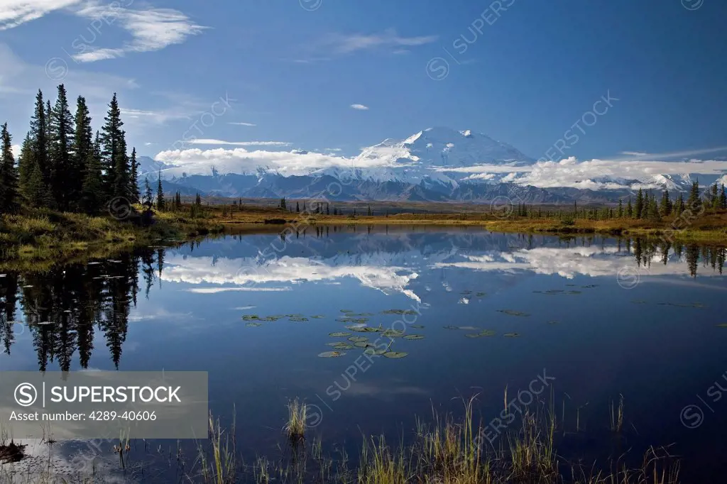 Denali Is Reflected In A Small Lake Near The Wonder Lake Campground At Denali National Park. Fall In Interior Alaska.