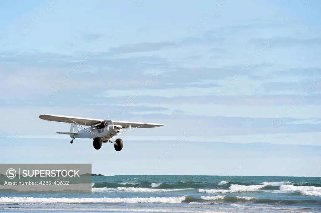 Piper Super Cub Taking Off From The Beach At Hinchinbrook Island During The 2010 May Day Fly-In, Prince William Sound, Valdez, Southcentral Alaska, Su...