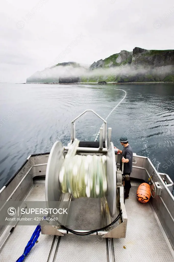 Setting Out The Gillnet While Commercial Salmon Fishing Near Cape Pankof On Unimak Island. Salmon Fishing In The Alaska Department Of Fish And Game 'a...