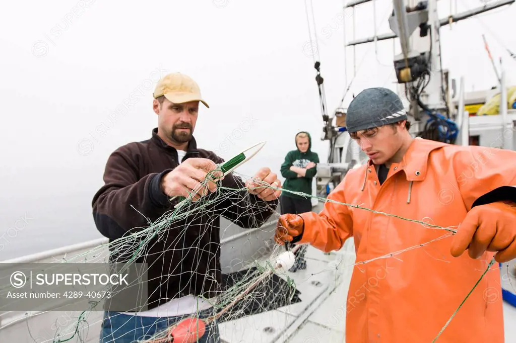 Buck Laukitis And Keith Bell Repair A Tear In Their Gillnet While Commercial Sockeye Salmon Fishing In The Eastern Aleutian Islands, Area M, Region Ab...
