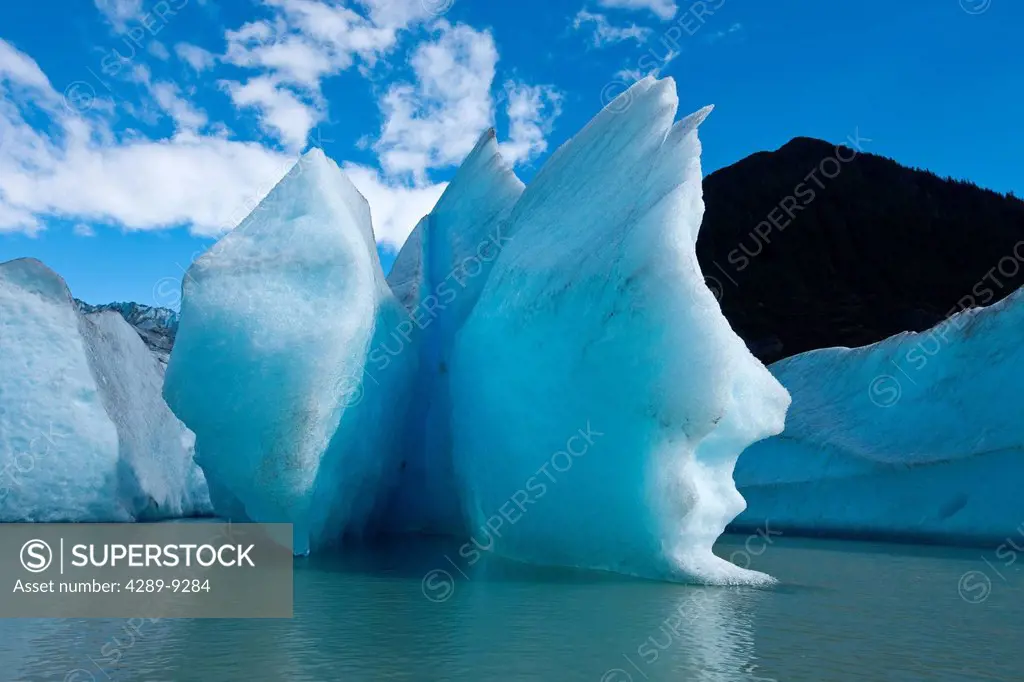 Sunny view of icebergs and Mendenhall Glacier terminus in Mendenhall Lake, Southeast Alaska, Summer