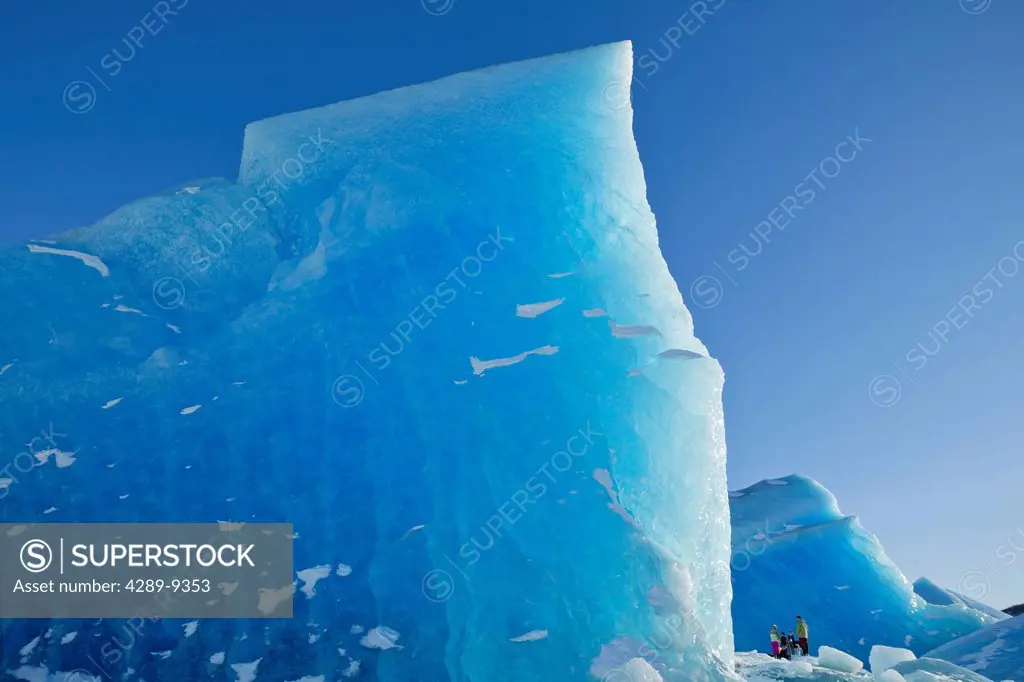 A wall of blue ice towers above hikers as they explore a huge iceberg frozen into the surface of Mendenhall Lake, Mendenhall Glacier, Juneau, Southeas...