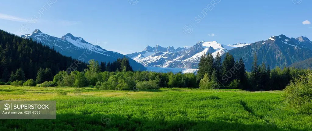 Scenic view of Brotherhood Meadow in the Mendenhall Valley, Mendenhall Glacier and Towers beyond in the distance,Juneau, Southeast Alaska, Summer