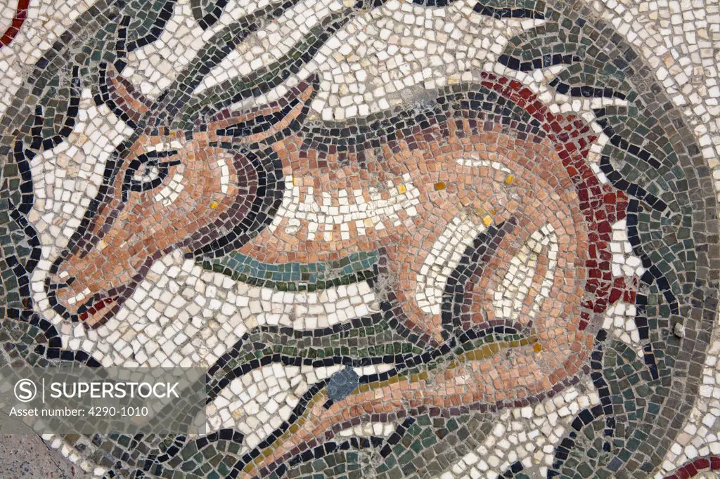 Animal mosaic outside the Triclinium, Villa Romana del Casale, Piazza Armerina, Sicily, Italy