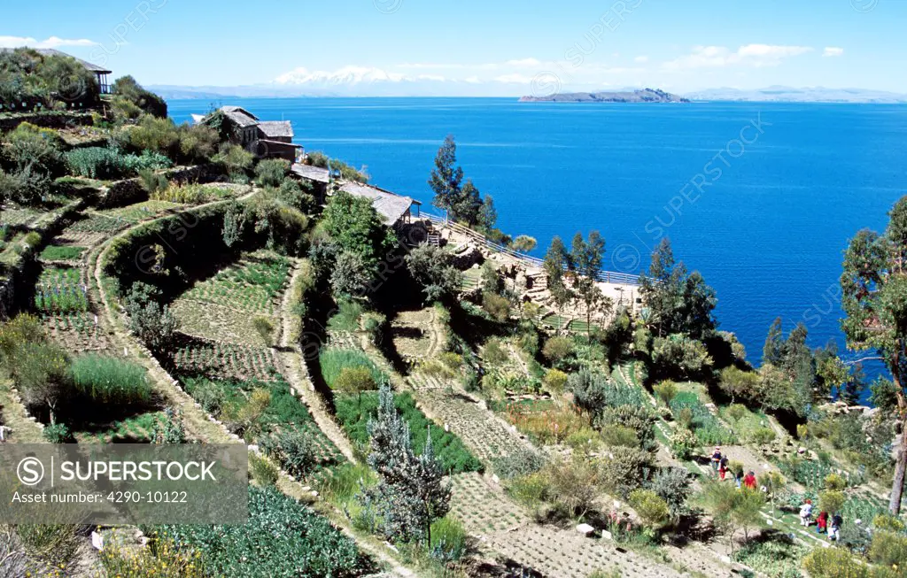 Terraces, Moon Island in distance, from Inti Wata Cultural Complex on Sun Island, Lake Titicaca, near Copacabana, Bolivia