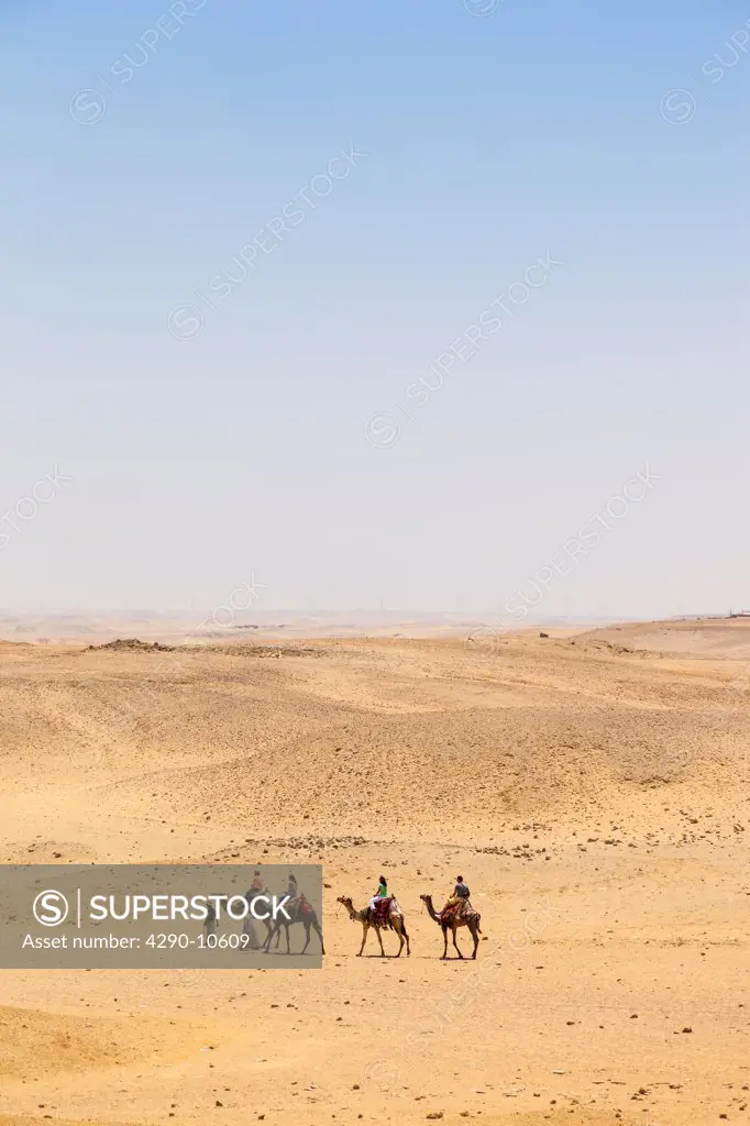 Camel train in the desert at Giza, Cairo, Egypt