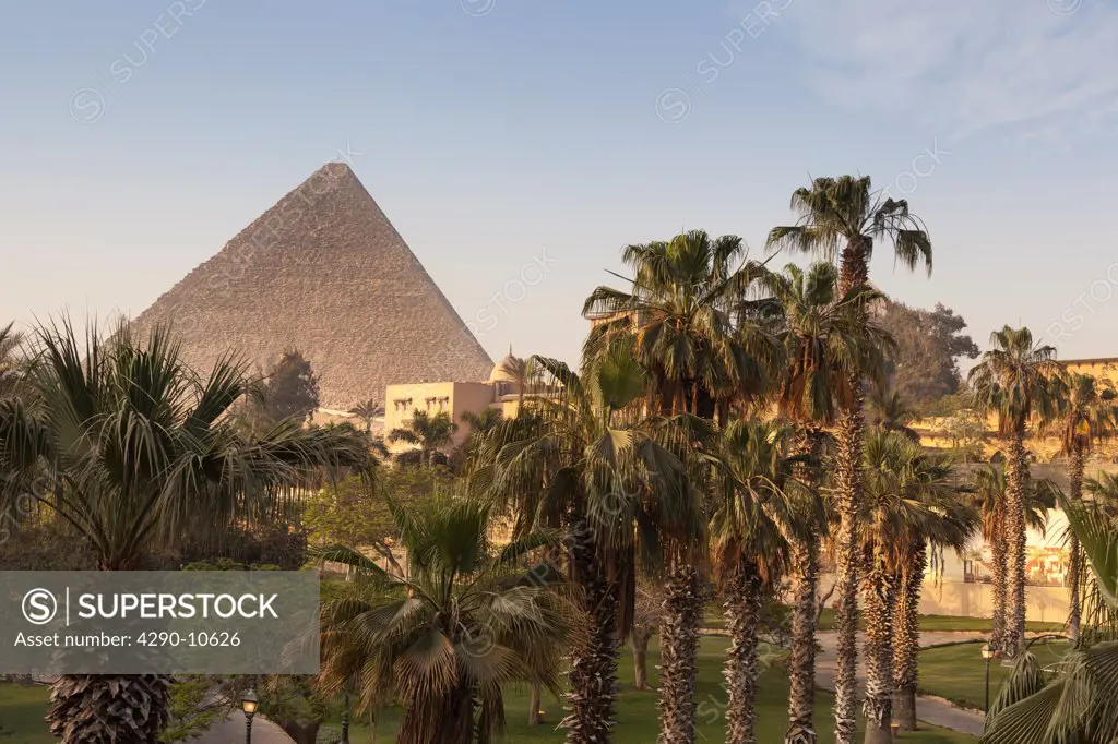 Palm trees with the pyramid in the background, Giza Pyramids, Giza, Cairo, Egypt