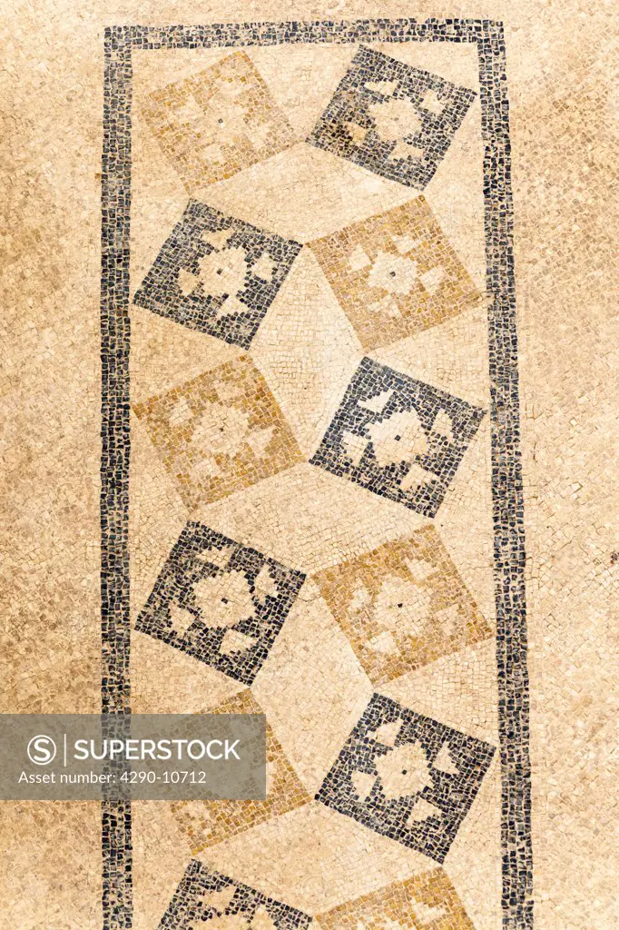 Patterned mosaic on the floor of one of the Terrace Houses, Ephesus, Izmir Province, Turkey