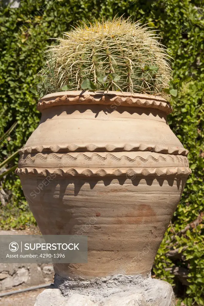 Cactus growing in pot, Trevelyan Public Gardens, Villa Comunale, Via Bagnoli Croce, Taormina, Sicily, Italy