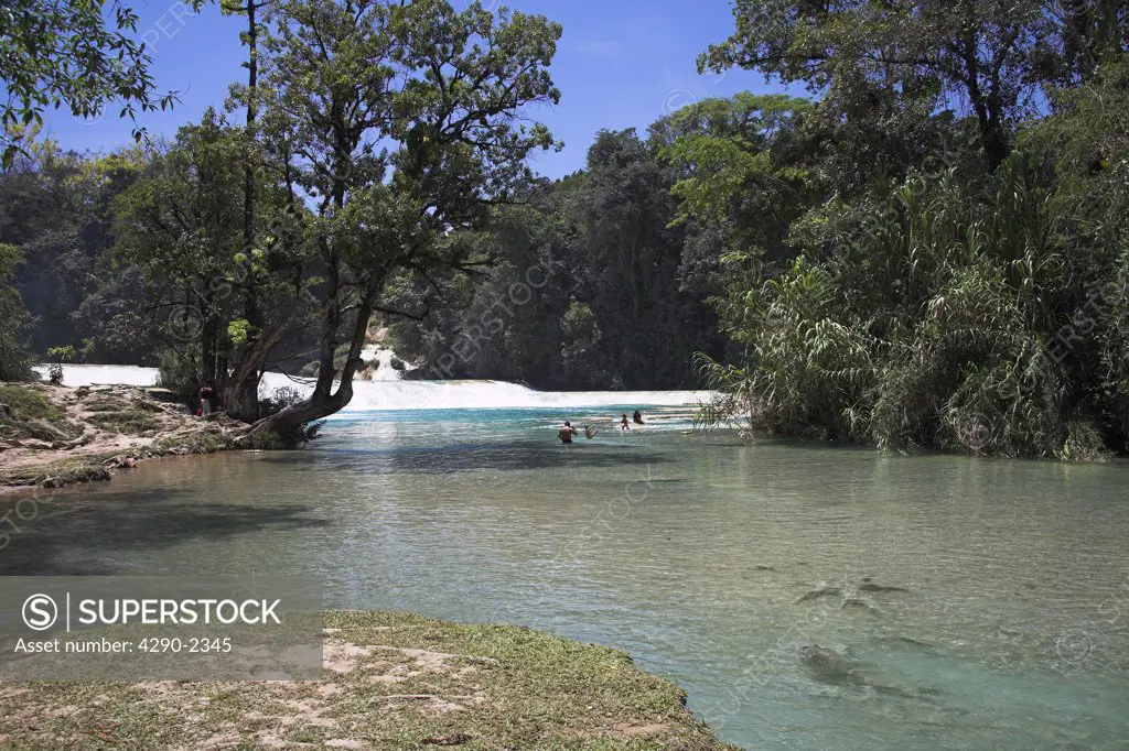 Cascada Agua Azul, Agua Azul Waterfall, Parque Nacional Agua Azul, near Palenque, Chiapas, Mexico