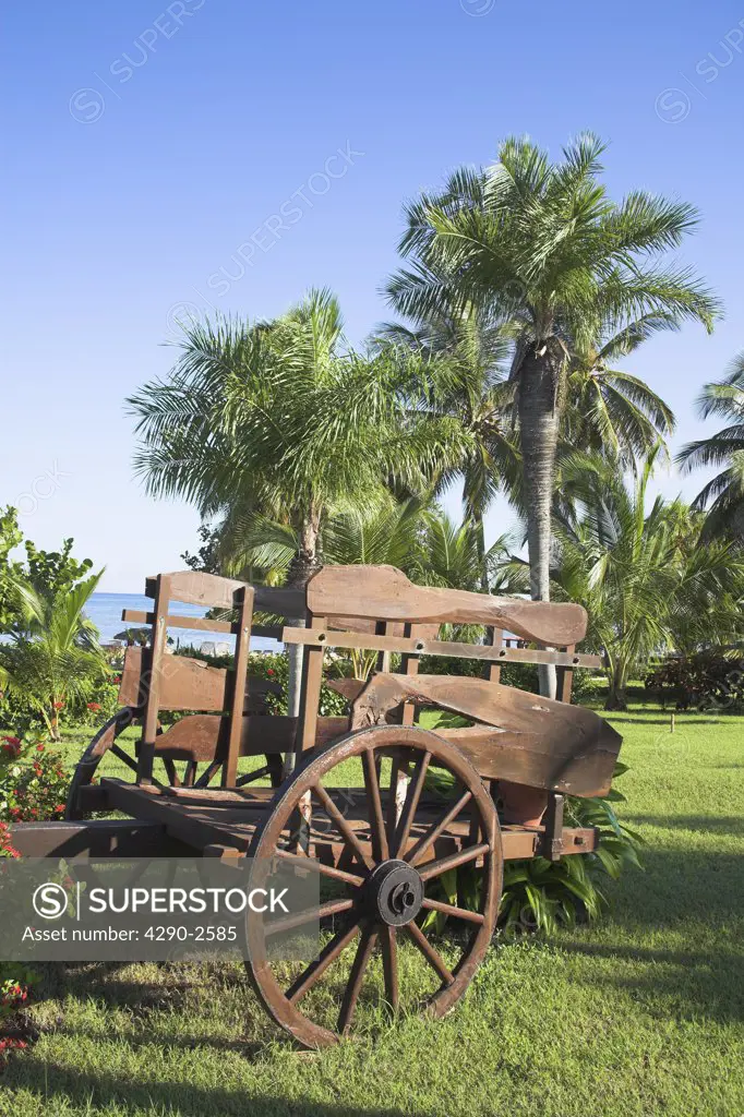 Old wooden cart in a garden beside the sea, Guardalavaca, Holguin Province, Cuba