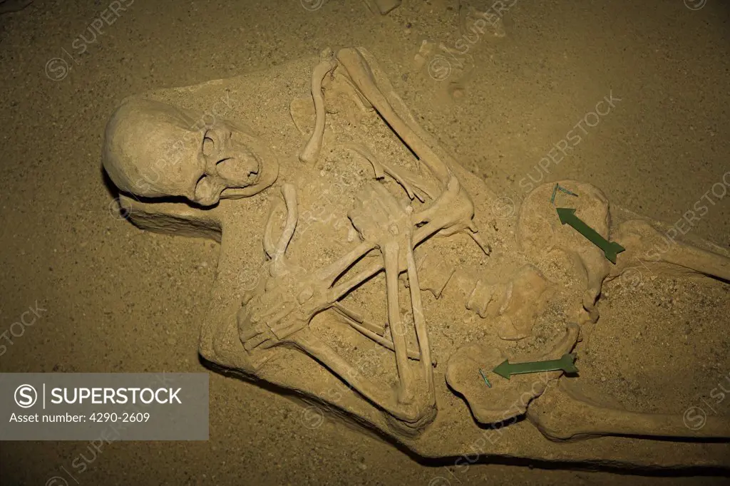 Skeleton in Chorro de Maita Site Museum, Chorro de Maita, Banes, near Guardalavaca, Holguin Province, Cuba