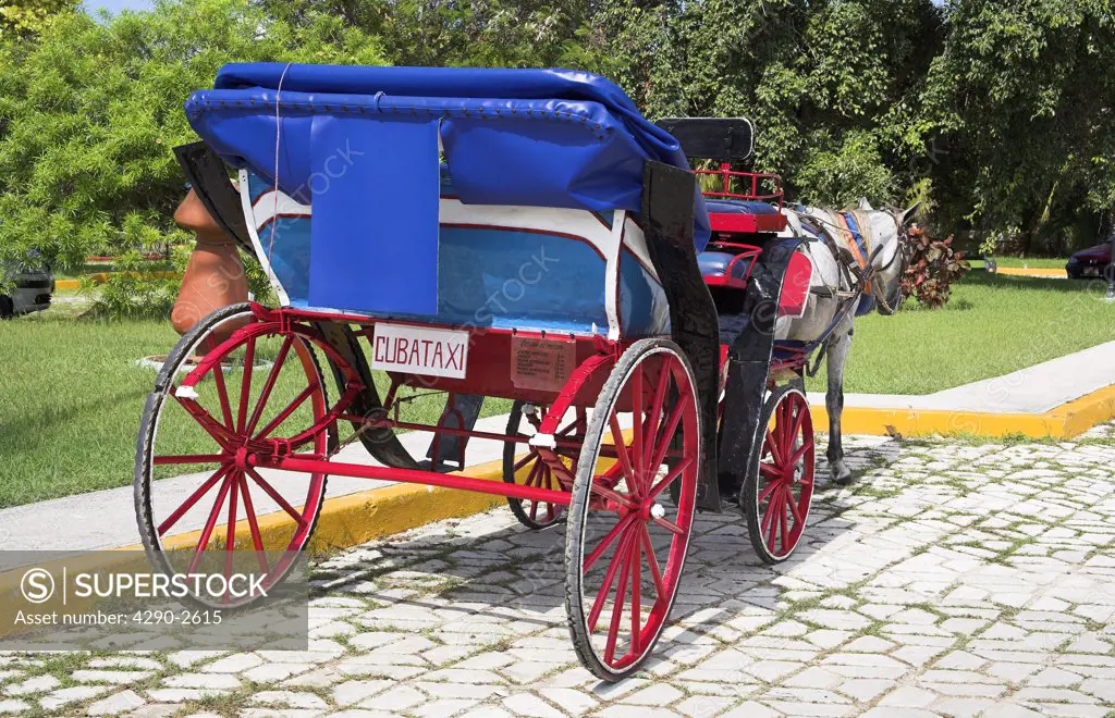 Horse pulling a wooden open top carriage, a Cuban taxi, Guardalavaca, Holguin Province, Cuba