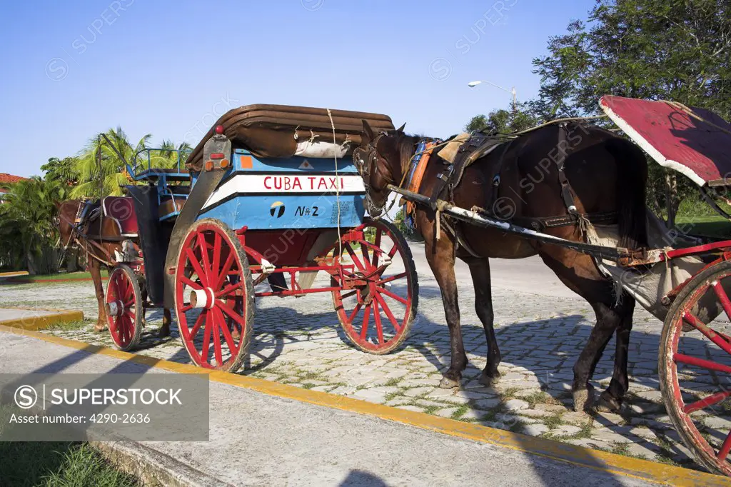 Horse and open top carriage, a Cuban taxi, Guardalavaca, Holguin Province, Cuba