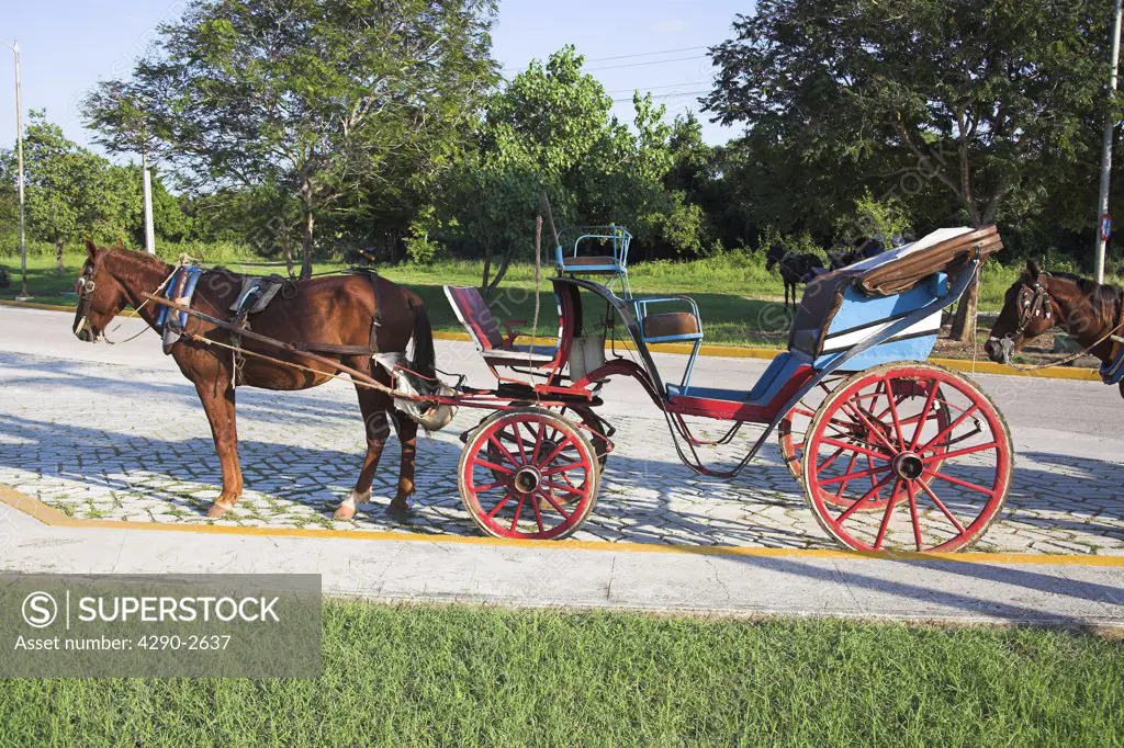 Horse and open top carriage, a Cuban taxi, Guardalavaca, Holguin Province, Cuba