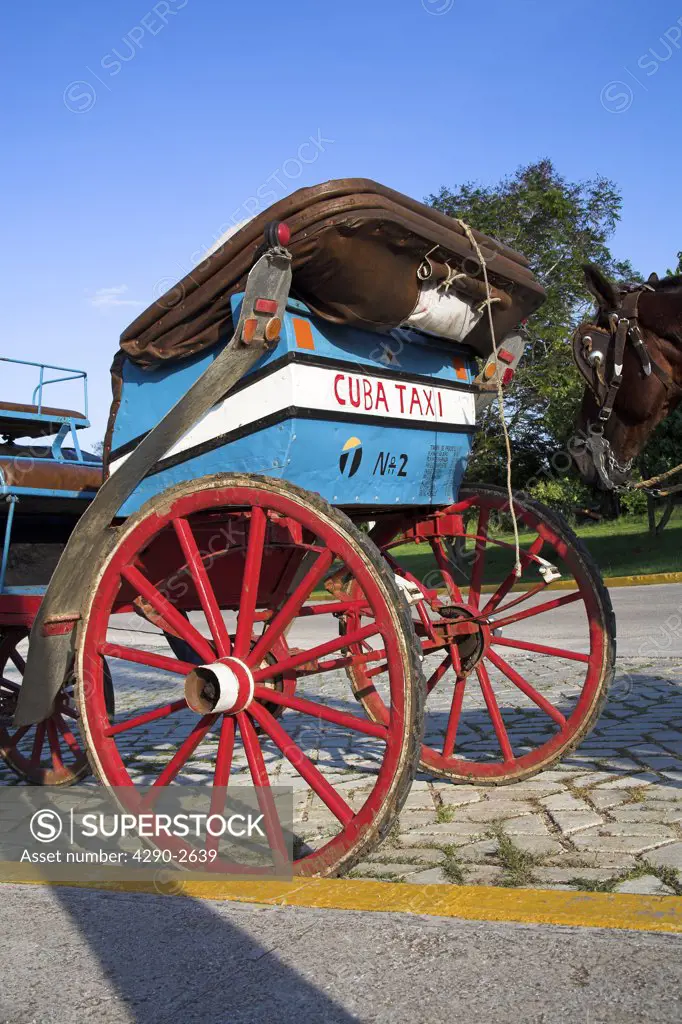 Horse drawn open top carriage, a Cuban taxi, Guardalavaca, Holguin Province, Cuba