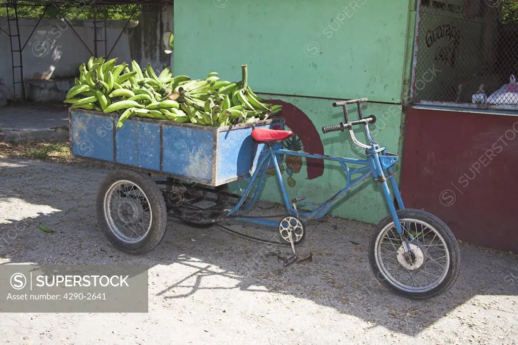 Bananas being transported on a tricycle, near Guardalavaca, Holguin Province, Cuba