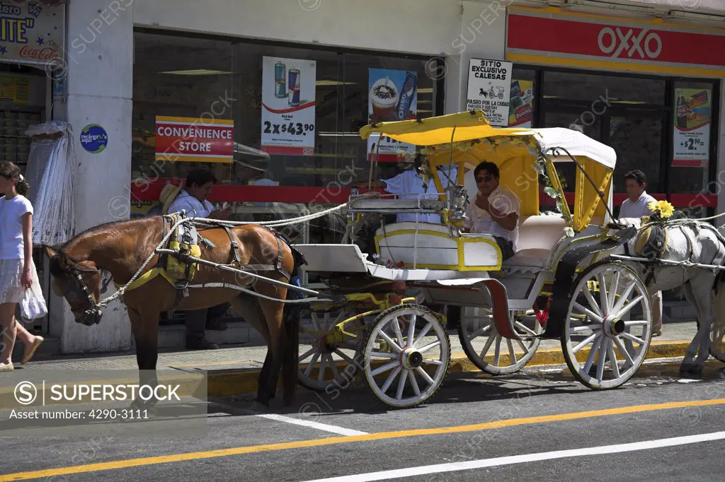 Horse and carriage waiting for customers outside shops, Merida, capital of Yucatan State, Mexico