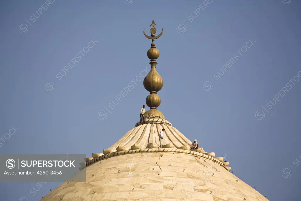 Close up view of men maintaining the dome of the Taj Mahal, Agra, Uttar Pradesh, India