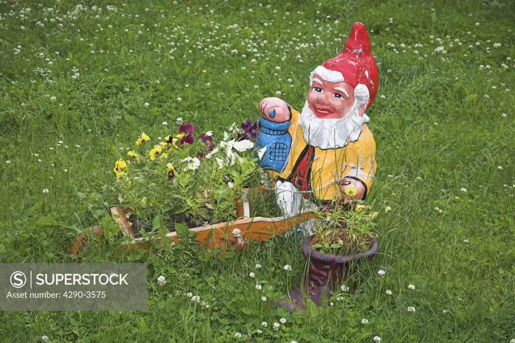 Gnome in garden, near Bran, Transylvania, Romania
