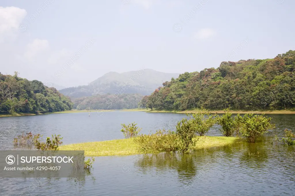Periyar Lake, Periyar Wildlife Sanctuary, Thekkady, near Kumily, Kerala, India