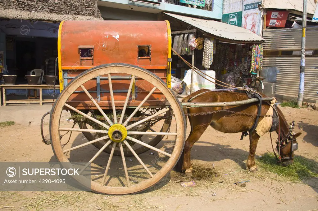 Donkey and old cart parked outside a shop, in the street, Tamil Nadu, India