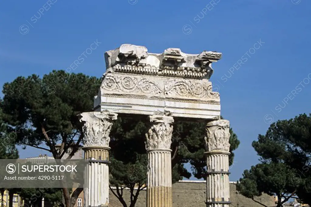 Ancient ruins, the Forum, Rome, Italy