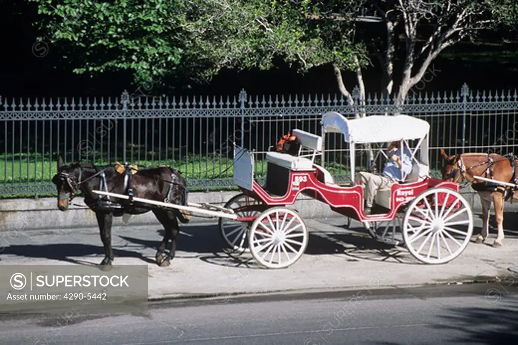 Horse and carriage outside Jackson Square, Decatur Street, French Quarter, New Orleans, Louisiana, USA