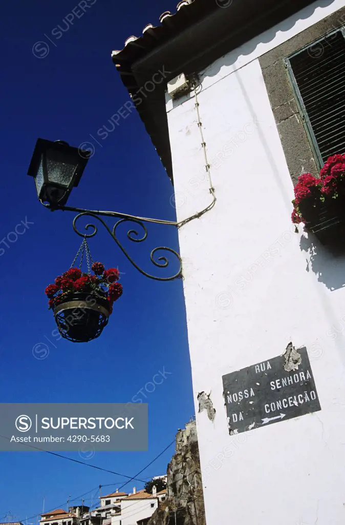 Street light and hanging basket, Rua Nossa Senhora Da Conceicao, Camara de Lobos, Madeira