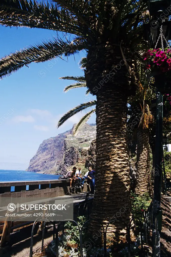 Looking towards cliffs, sea and coastline of Cabo Girao, from Camara de Lobos, Madeira