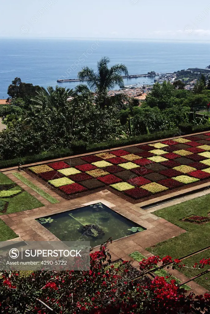 Carpet bedding and pond, Botanical Garden, Jardim Botanico, Funchal, Madeira