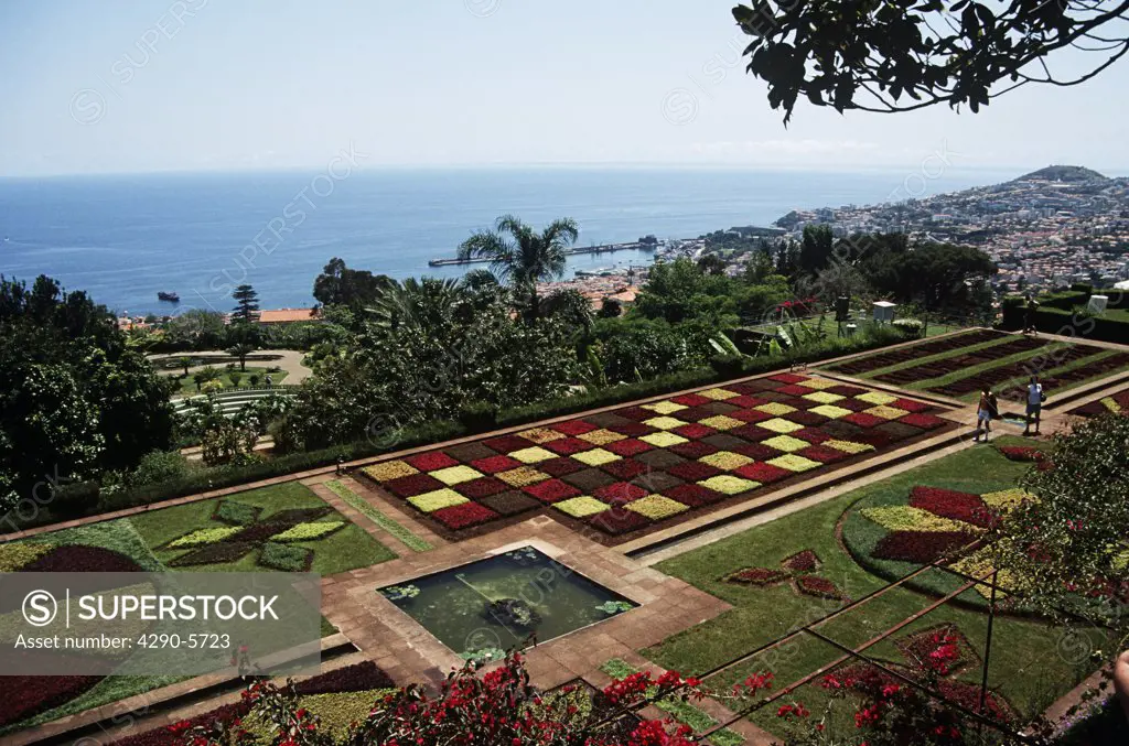 Carpet bedding and pond, Botanical Garden, Jardim Botanico, Funchal, Madeira