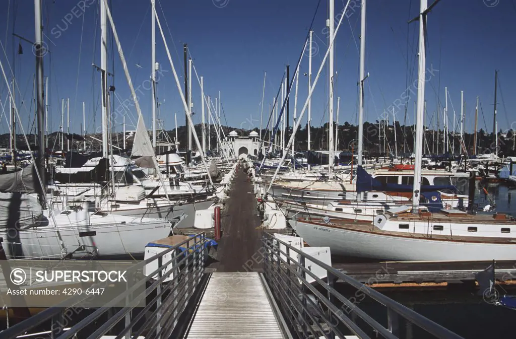Yachts moored in marina, Sausalito, Marin County, California, USA