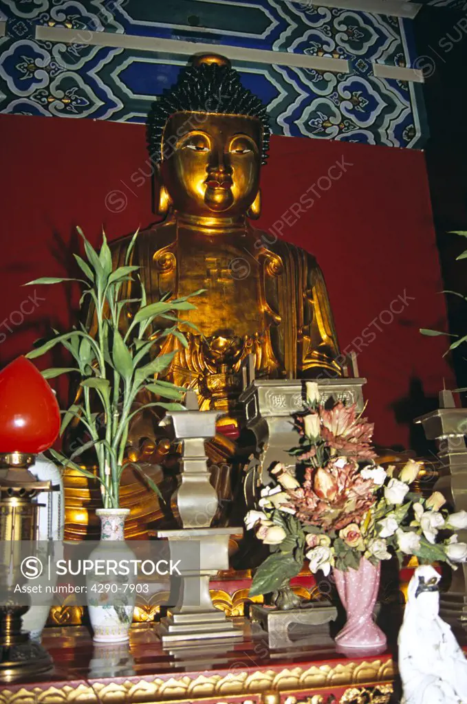 Buddha, Po Fook Ancestral Worship Halls, Sha Tin, New Territories, Hong Kong, China