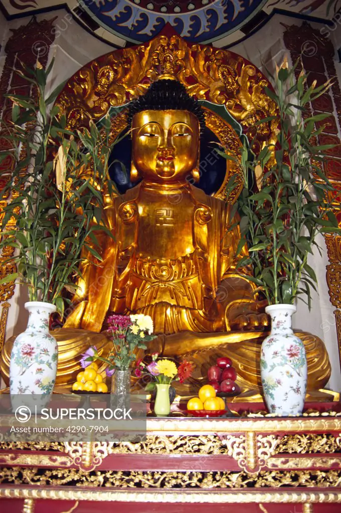 Buddha, Po Fook Ancestral Worship Halls, Sha Tin, New Territories, Hong Kong, China