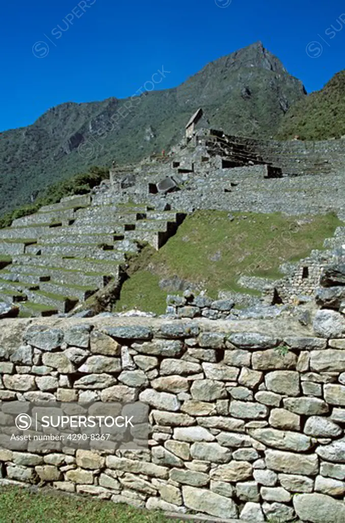 Terraces on the mountainside, and dry stone wall, Machu Picchu, Peru