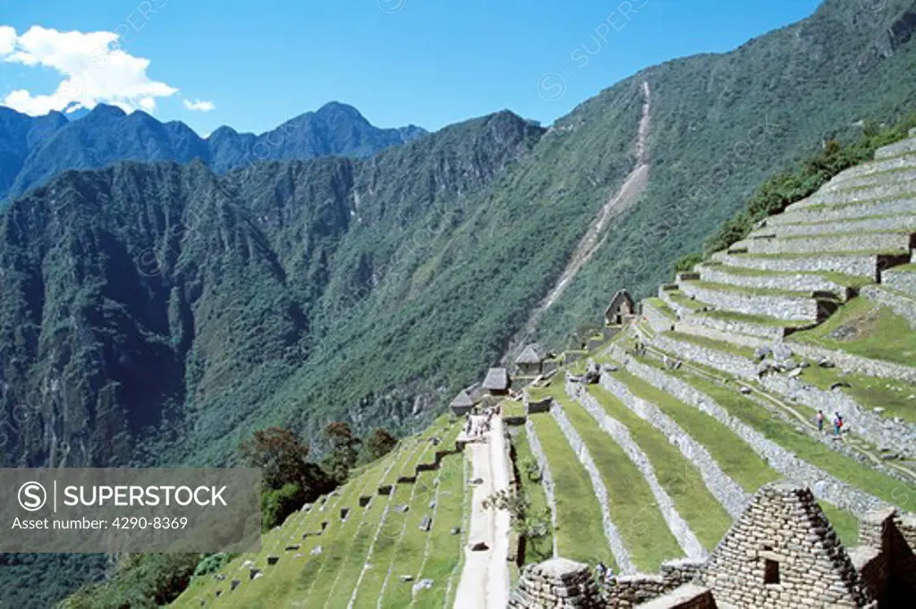 Terraces on Machu Picchu mountainside, Machu Picchu, Peru