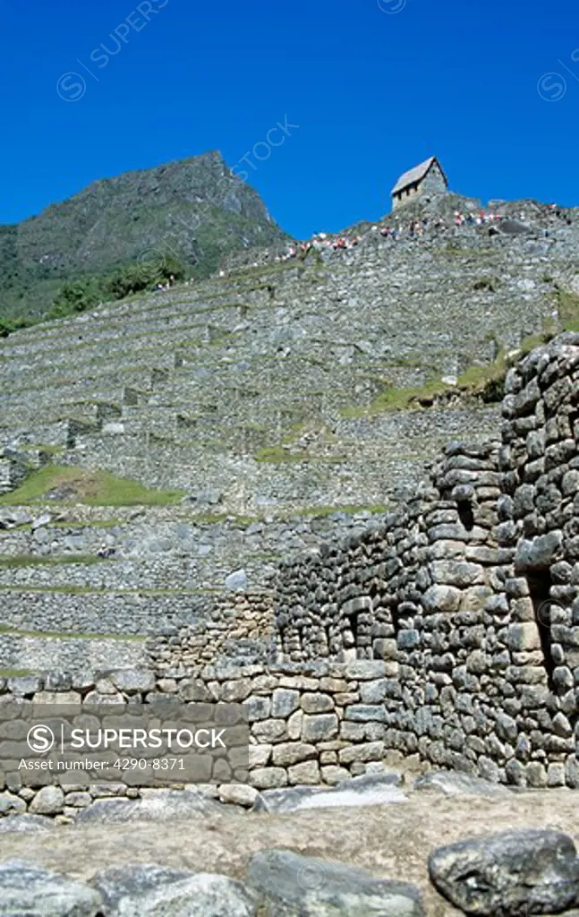 Inca ruins, tourists, and terraces on Machu Picchu mountainside, Machu Picchu, Peru