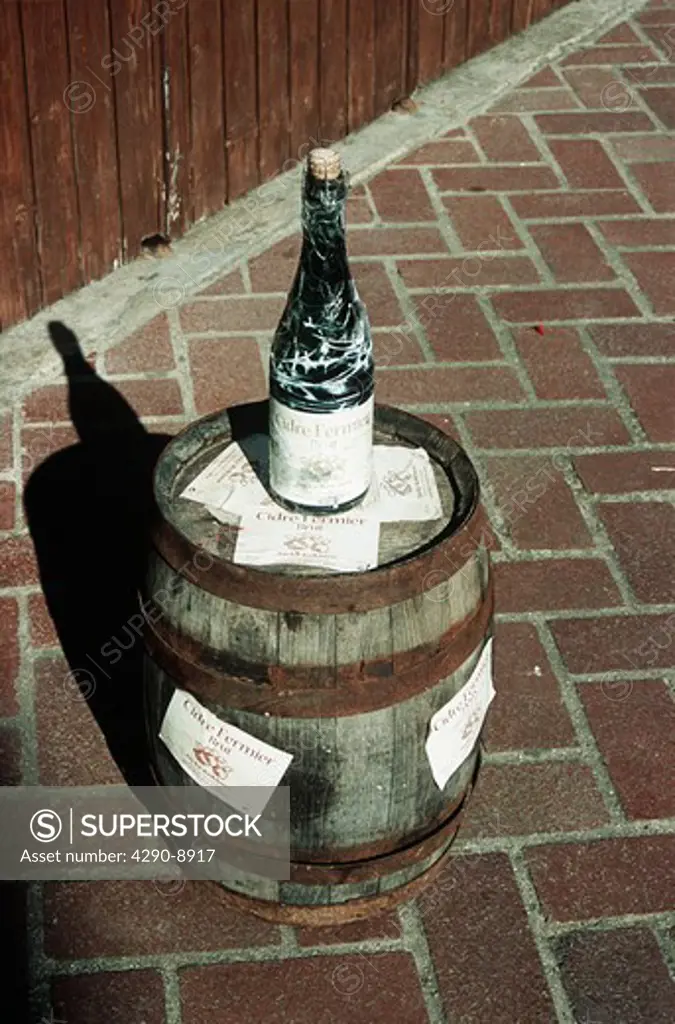 Cider bottle on oak barrel or cask, Beuvron-en-Auge, Normandy, France