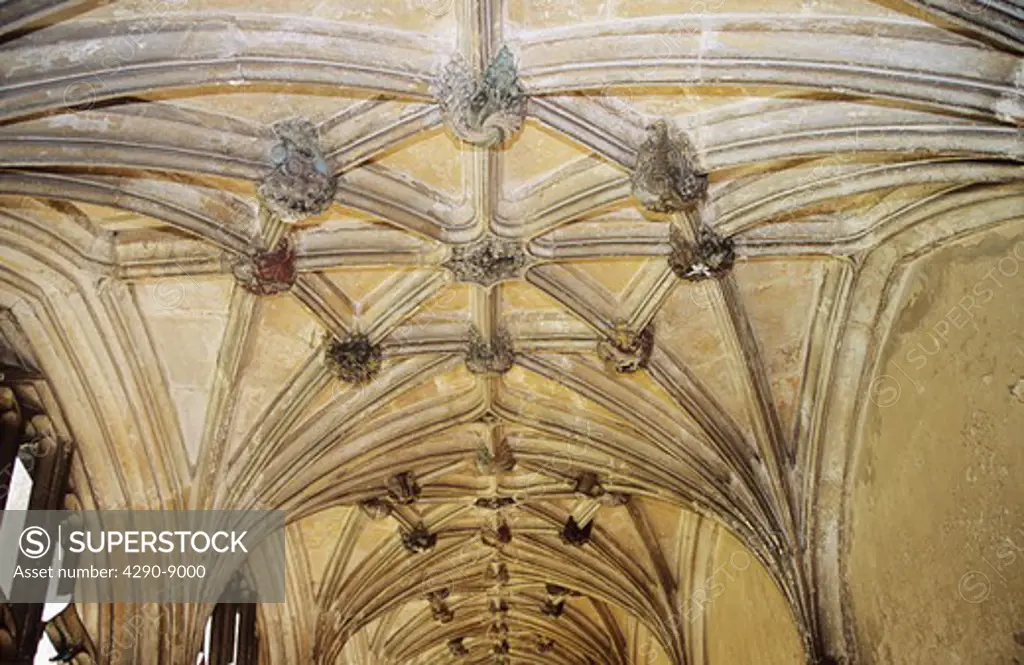 Ceiling in the cloisters, Lacock Abbey, Lacock, Wiltshire, England.