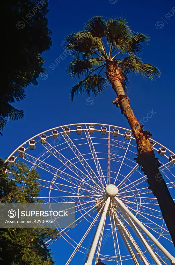 The Wheel of Seville, Prado de San Sebastian, Seville, Spain